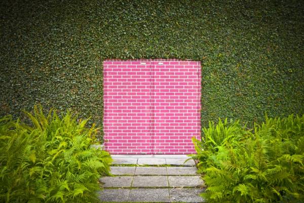 Photograph David Jordan Williams  Pink Brick Door on One Eyeland